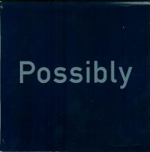 Possibly Maybe (Calcutta Cyber Cafe Mix) cover picture