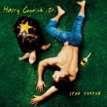 Star Turtle, Pt. 4 cover picture