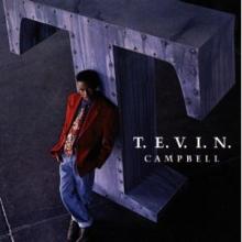 T.E.V.I.N. cover picture