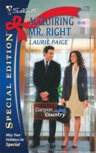 Acquiring Mr Right cover picture