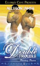 Double Trouble cover picture