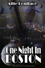 One Night In Boston cover picture