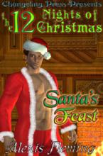 Santa's Feast cover picture