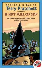 A Hat Full Of Sky cover picture