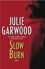 Slow Burn cover picture