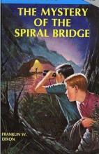 The Mystery of the Spiral Bridge cover picture