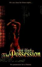 The Possession cover picture