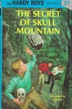 The Secret of Skull Mountain cover picture
