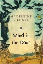 A Wind In The Door cover picture