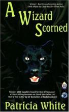 A Wizard Scorned cover picture