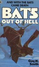 Bats Out Of Hell cover picture