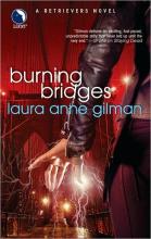 Burning Bridges cover picture
