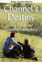 Channel's Destiny cover picture