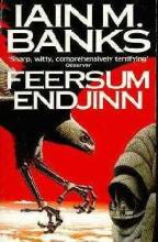 Feersum Endjinn cover picture