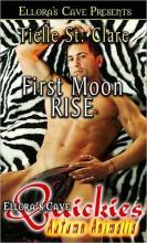 First Moon Rise cover picture