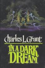 In A Dark Dream In A Dark Dream cover picture