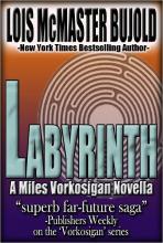 Labyrinth cover picture