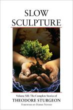 Slow Sculpture cover picture