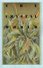 The Crystal World cover picture