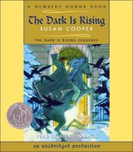 The Dark Is Rising cover picture