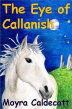 The Eye Of Callanish cover picture