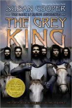 The Grey King cover picture