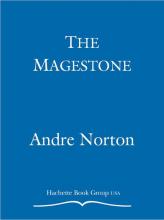 The Magestone cover picture