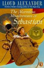 The Marvelous Misadventures Of Sebastian cover picture