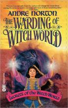 The Warding Of Witch World cover picture