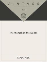 The Woman In The Dunes cover picture