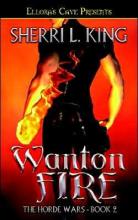 Wanton Fire cover picture