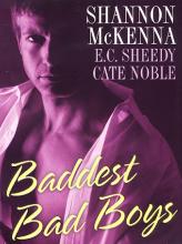 Baddest Bad Boys book cover