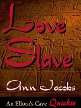 Love Slave book cover