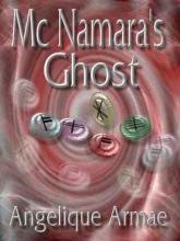 Mcnamara's Ghost book cover