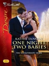 One Night, Two Babies book cover