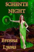 Schente Night book cover