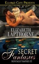 Secret Fantasies book cover