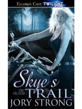 Skye's Trail book cover
