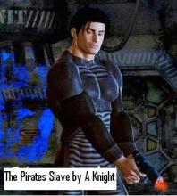 The Pirate's Slave book cover