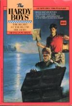 The Secret of the Island Treasure book cover