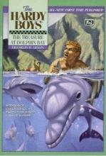 The Treasure at Dolphin Bay book cover