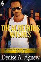 Treacherous Wishes book cover