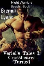 Veriel's Tales book cover