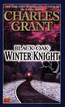 Winter Knight cover picture