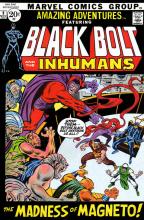 Blackbolt and the Inhumans: The Madness of Magneto cover picture