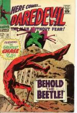 Behold, the Beetle Behold, the Beetle cover picture