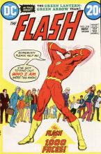 The Flash of a 1000 Faces cover picture