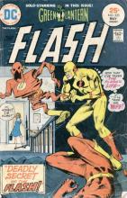 The Deadly Secret of the Flash cover picture