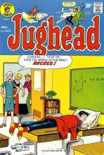 Jughead 223 cover picture