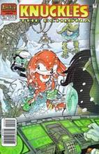 Knuckles 19 cover picture